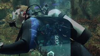 Baltimore Aquarium Dive Trip