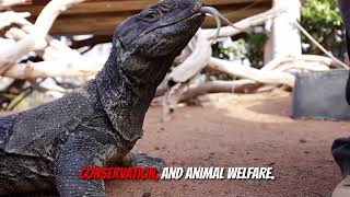 Exploring Animal Sanctuaries, Zoos, and Aquariums in Nevada