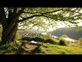 happy may 🌸 soft piano music for a peaceful morning | deep focus, reading &amp; slow living #4