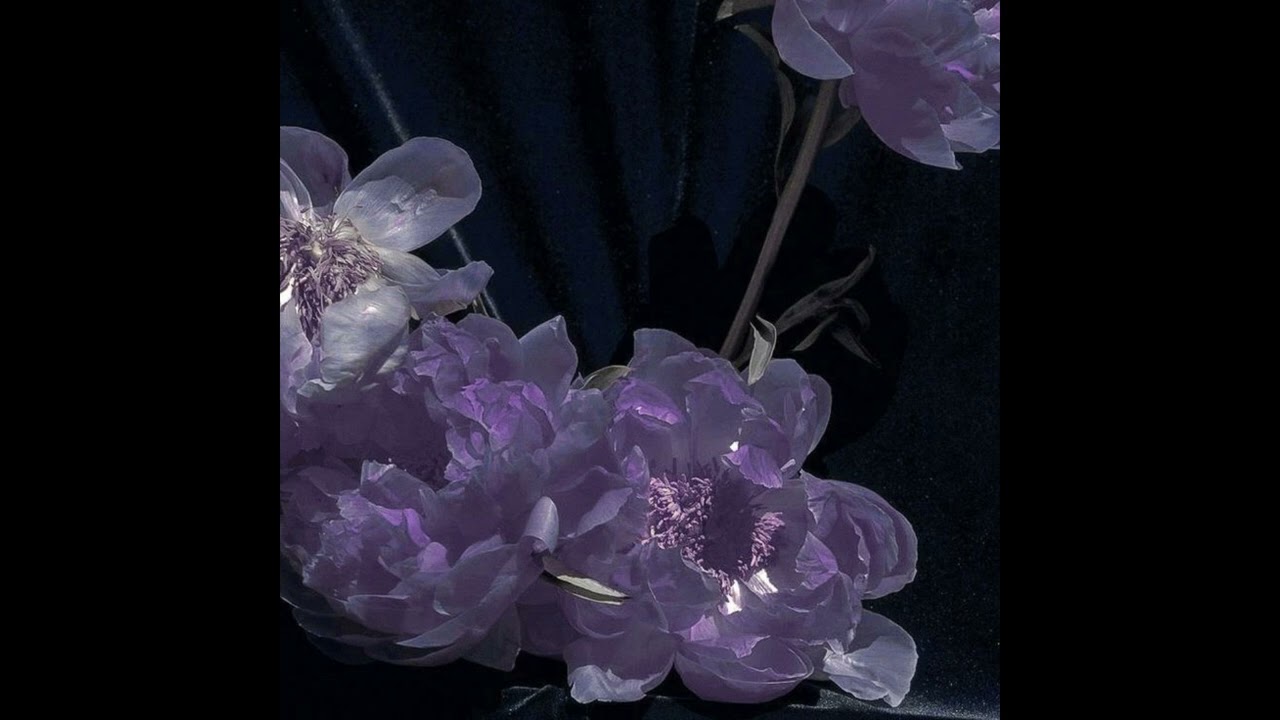 [FREE] Playboi Carti x Pierre Bourne Type Beat - 