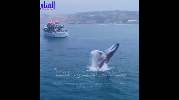 Thumbnail of Ayat al kursi by Saad al ghamdi || #saadalghamidi