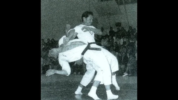 Real Kung Fu San Soo (Jimmy and Frank)