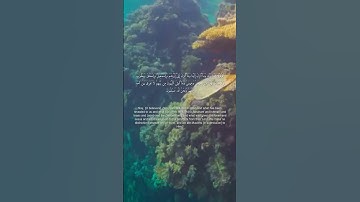 سورة البقرة من الاية 135 الي الاية 136 بصوت القارئ محمود علي البنا