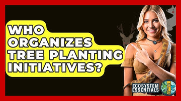 Who Organizes Tree Planting Initiatives? - Ecosystem Essentials