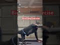 Bird Dog — Core Stability & Balance