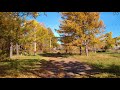 Уходящая осень в Николаевске-на-Амуре / Leaving autumn in the Far East