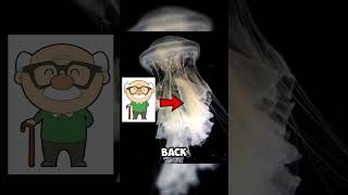 🕒 What If Death Wasn’t Permanent? #educational #shortvideo #commentary