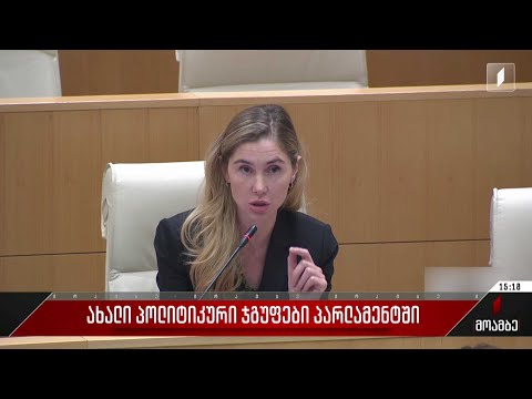 ახალი პოლიტიკური ჯგუფები პარლამენტში