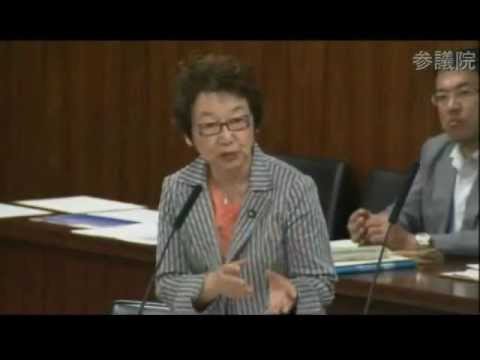 08.27 参議院 東日本大震災復興特別委員会 川口順子議員（自民） YouTube