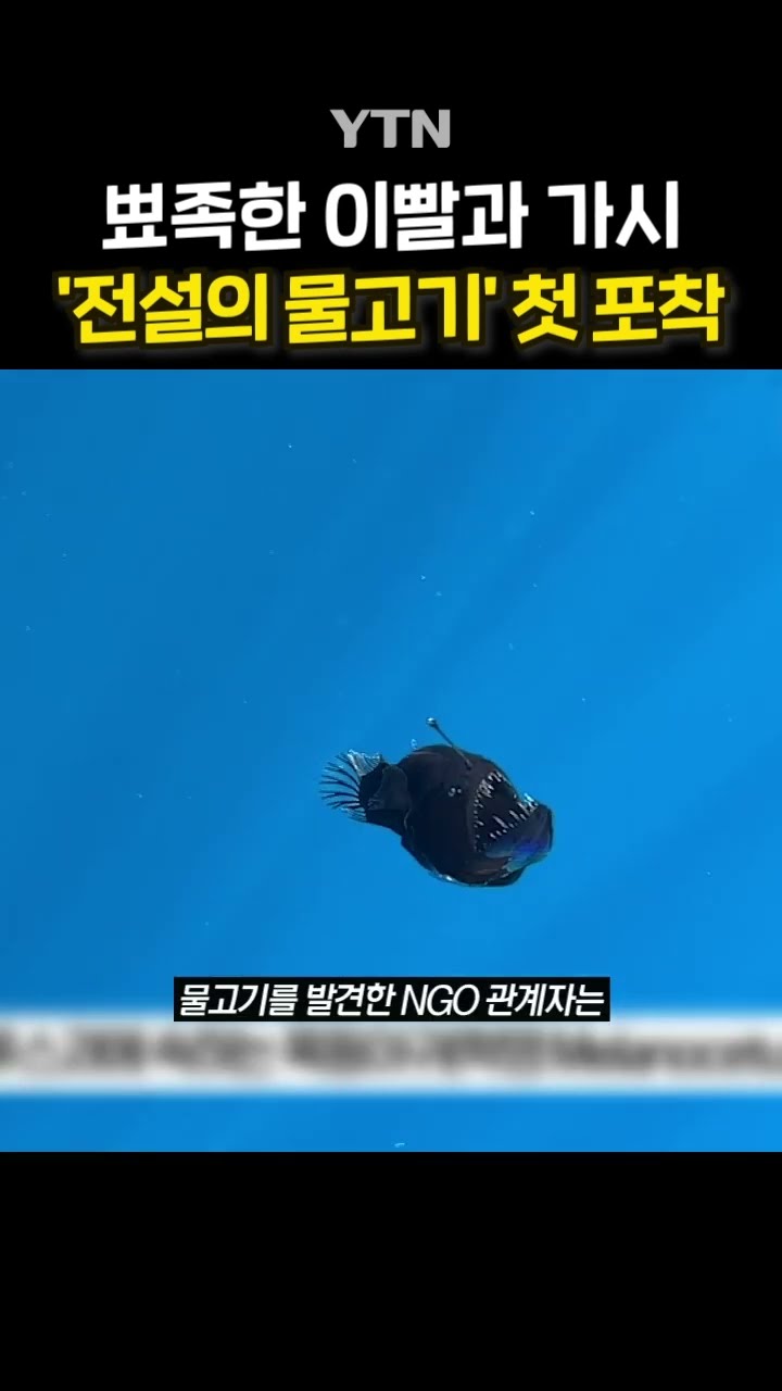 악마의 물고기 #shorts / YTN