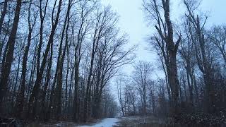 Dont Speak - Nightbreez Resimi