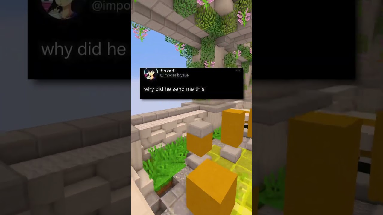 preview_player