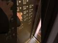 NYCHA Riis high,rise House’s riding elevator(B)6th floor building 1115 FDR Drive