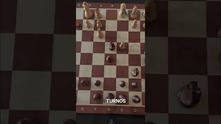 Max Euwe - Los intentos por regularizar el campeonato del mundo