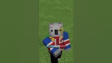 The Allay Is Now Offically A PLONKER...