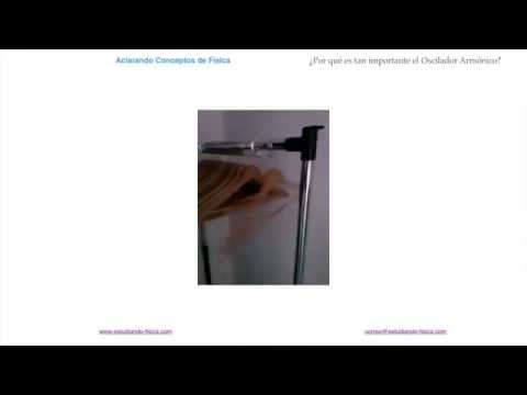 ¿Por qué es