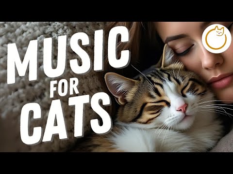 MAGIC CAT MUSIC - Instant Anxiety and Aggression Relief 💕
