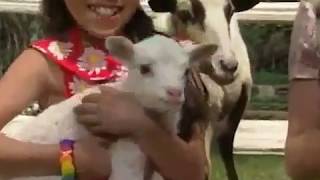 Kidsongs TV Show: #317: Practice Practice Practice