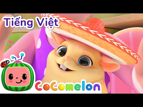 Thú Cưng Của Lớp Ngủ Ở Nhà Bạn - CoComelon Tiếng Việt | Giai điệu mẫu giáo | Bài hát thiếu nhi