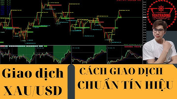 Giao Dịch Vàng-Cách Giao dịch XAU/USD Chuẩn Tín Hiệu-Chiến Lược Scalping XAU/USD