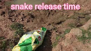 Ghonas, Russells Viper, परड, बहऱय सप