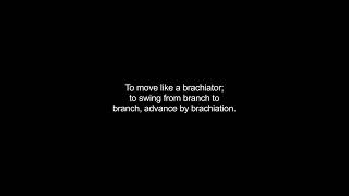 brachiating video Dictionary meaning and pronunciation