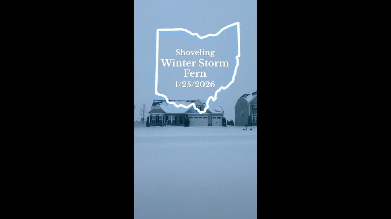 Shoveling Timelapse of Winter Storm Fern
