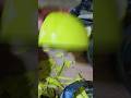 #jokes #funny #comedy #comedyvideos #trendingshorts #viral 👍7