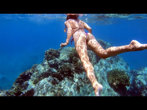 CRYSTAL CLEAR dive