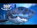 VR 360 Video Megalodon Shark Attack | 360° GTA The Meg