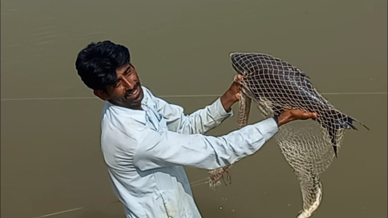 big machli