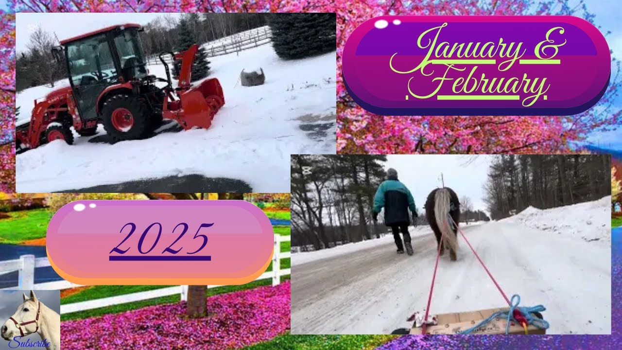 Barn Cats, Horses & Wildlife January & February Adventures In 2025