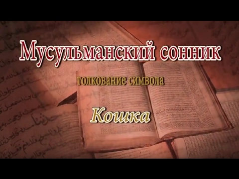 К чему снится Кошка сонник, толкование сна