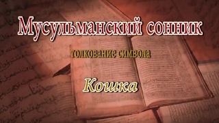 К чему снится Кошка сонник, толкование сна