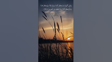 #ياسر_ممدوح إبداعات من سورة الجاثيه 🌹