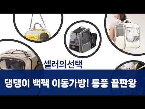 내 댕댕이 편안한 이동! 통풍 빵빵 백팩형 이동가방 비교 리뷰 (feat. 이너쿠션)