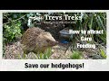 How to attract hedgehogs to your garden. UK wildlife gardening. Blink camera.