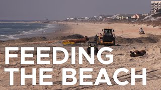 How long can we feed the beach? | Sci NC