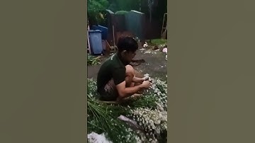 PEJUANG NAFKAH #katahatimotivasi #katahatimotivasi #shorts video