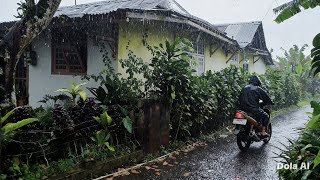 Details Walking in the Rain • Quiet Village Path in Java • Rain Sounds for Sleep & Relax Guide