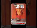 Miracle in Bijnor: Dog Circles Hanuman Idol for 48 Hours #bijnor #hanuman #youtubeshorts