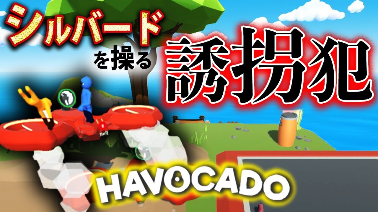 【Havocado】タイトル通りの大混乱!?グニャグニャファイティングゲームをプレイしてみた!!【MSSP/M.S.S Project】