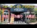 浜松市【ベビーフェイスプラネッツ】相撲レスラーサイズのデカ盛りがあるお店