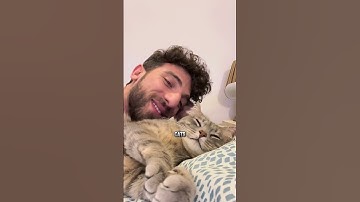 Do Cats Know Their Name 🐱 #catbehavior