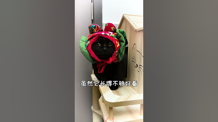 【栗子的日常】嗚嗚嗚，貓咪離家出走了我好想它...