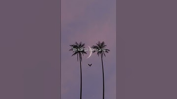 #ماهر_المعيقلي #سورة_الجاثية #قران