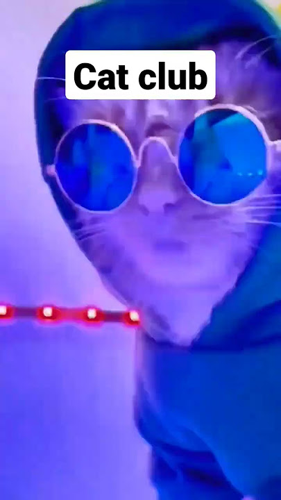 cat club #shorts #viral #trending