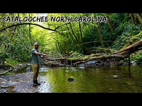 My FIRST Fly Fishing Trip Cattaloochee Hills NC