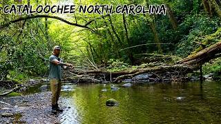 My FIRST Fly Fishing Trip Cattaloochee Hills NC