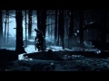 Mortal Kombat X - Video